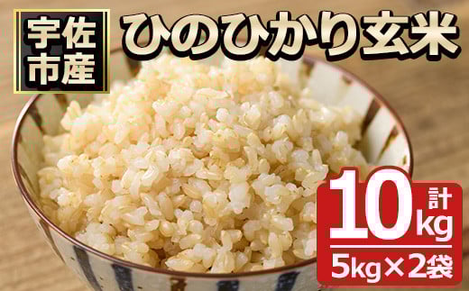 ＜先行予約受付中！2025年11月中旬以降順次発送予定＞＜令和7年産＞ひのひかり 玄米(計10kg)お米 10キロ ヒノヒカリ 真空パック 真空包装【114900304】【祥田産業】