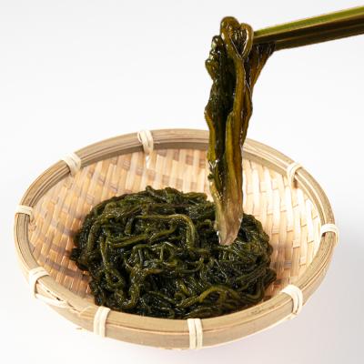 ふるさと納税 糸島市 糸島産ふともずく(ソウメンノリ)100g×10P　糸島漁業協同組合芥屋支所 [AHR002] |  | 02