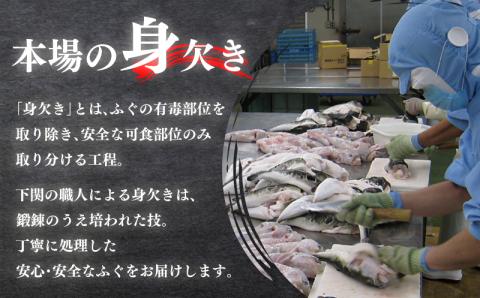 国産とらふぐ 刺身 セット 3~4人前 ふぐ松前付 冷凍 下関 山口 ふぐ特集 秋 冬