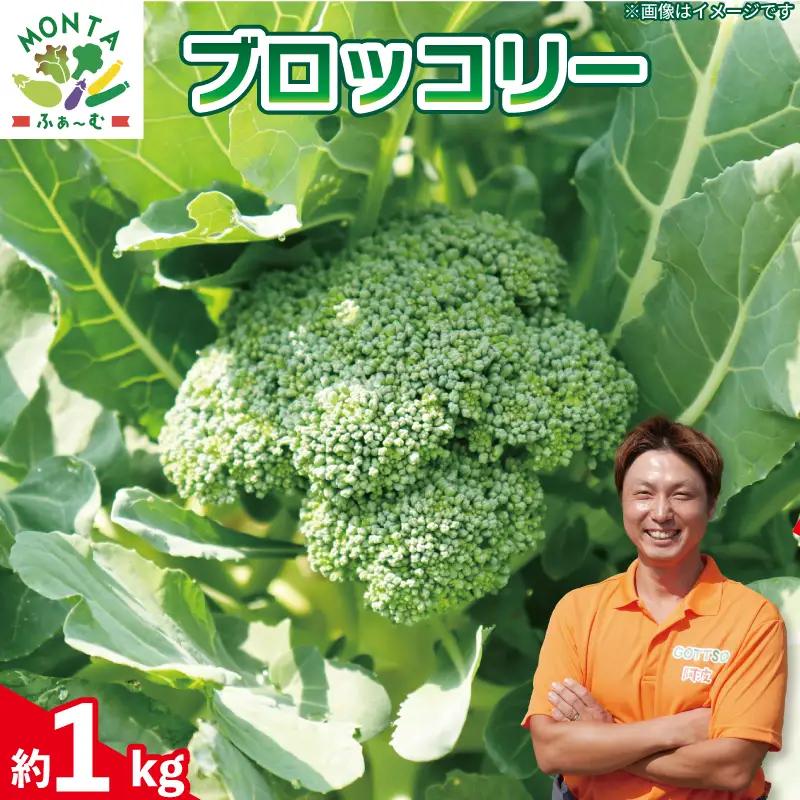 ブロッコリー 約1kg 【 ブロッコリー 】