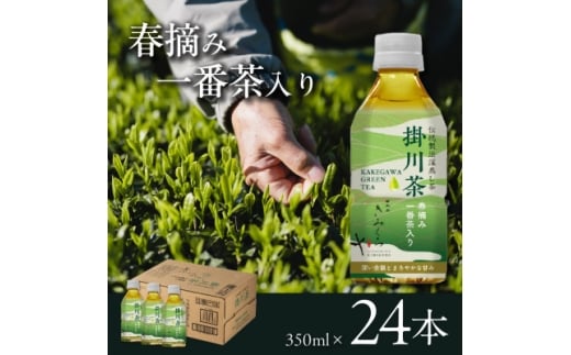 掛川茶 ペットボトル350ml×24本～伝統製法深蒸し茶～日本茶きみくら＜39528＞【1637482】