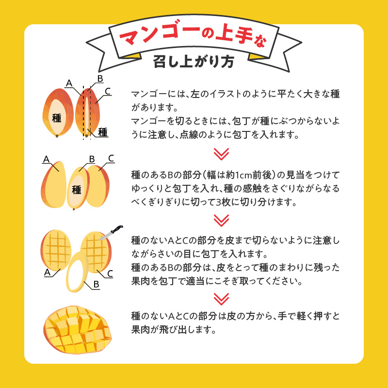 【2026年6月以降お届け】極　完熟マンゴー（3玉：約1.3kg）_完熟マンゴー 3玉 約 1.3kg 久留米産 平均糖度 17度～18度 完熟 マンゴー 国産 フルーツ トロピカルフルーツ 果物 デ