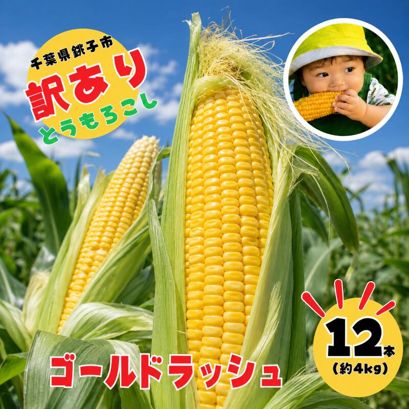 【ふるさと納税】 先行予約 訳あり とうもろこし 12本 （ 約4kg ） 銚子産 ゴールドラッシュ トウモロコシ 野菜 旬 季節限定 夏限定 ふるさと納税 ふるさと納税とうもろこし ふるさと納税野菜 送料無料 千葉県 銚子市 多部田ファーム 【令和9年7月中旬~7月下旬発送予定】