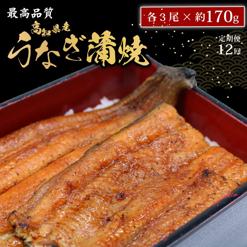 【ふるさと納税】 【12回定期便】 うなぎ蒲焼 約170g×3尾 高知県産 最高品質 合計約510g タレ 山椒 国産 鰻 おすすめ 高知県 南国市