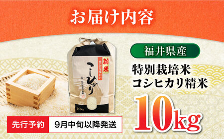 【 先行予約 /9月中旬以降発送】　【令和7年産】 福井県産 特別栽培米4 コシヒカリ 白米 10kg / 米 お米 精米 国産米 / 小浜市 / 北川博司[BFDG002]