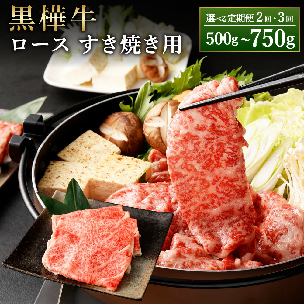 【ふるさと納税】【選べる定期便】黒樺牛 ロース すき焼き用 1回あたり約250g×1パック 2回 3回 定期便 計約500g 計約750g くまもと黒毛和牛 黒毛和牛 和牛 牛肉 肉 お肉 すき焼き すきやき スキヤキ うす切り 薄切り 冷凍 お取り寄せ グルメ 九州 熊本県 湯前町 送料無料