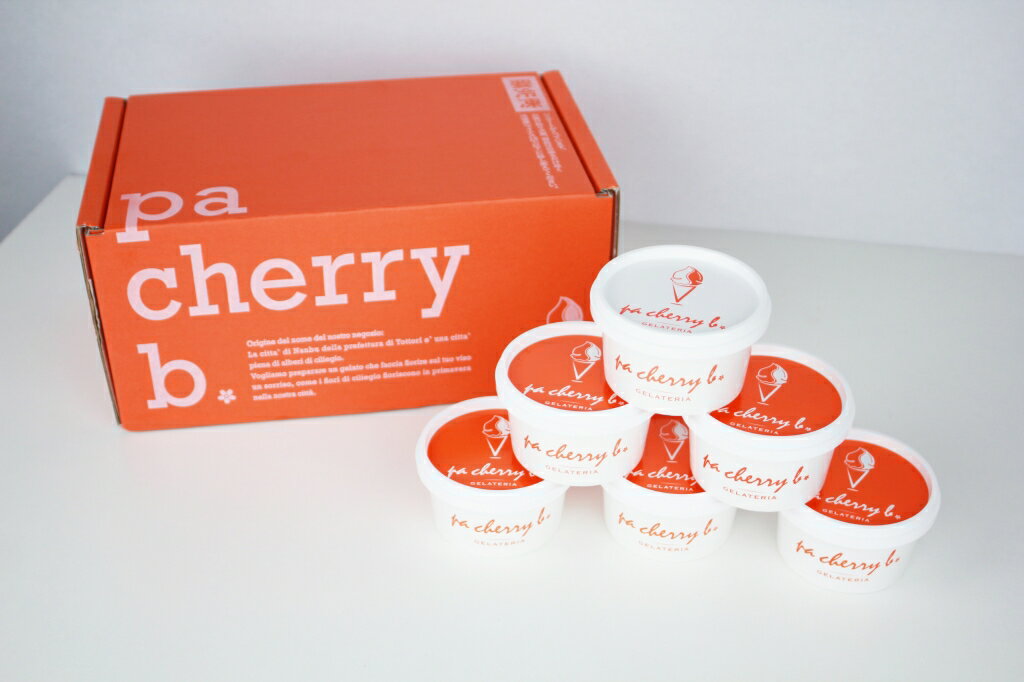 【ふるさと納税】PC-01　pa cherry b. パッチェリービー ジェラート6種6個セット ジェラート 90ml×6個 大山プレミアムミルク アマレーナ ピスタチオ チョコレート 珈琲 ラムレーズン 各1個 アイスクリーム アイス 詰め合わせ 食べ比べ スイーツ 鳥取県 大山町 大山