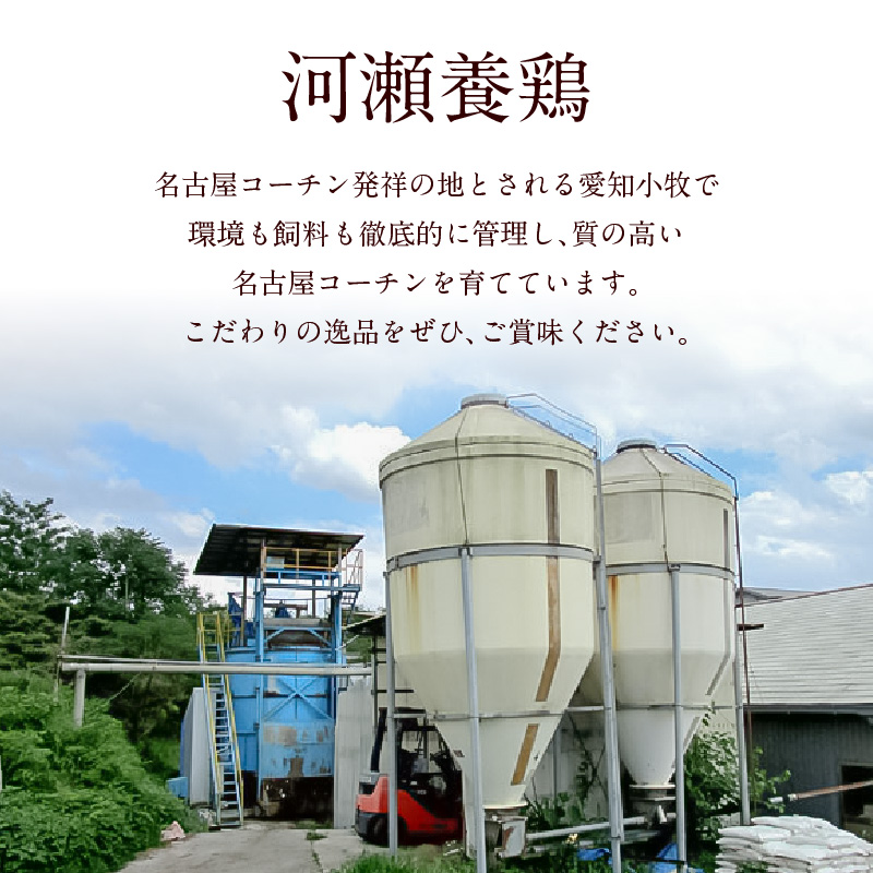 『親どり名古屋コーチン』肉だんご