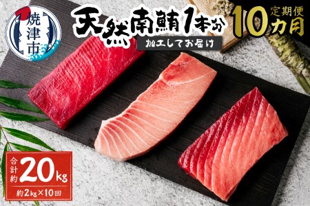 【定期便 10回】天然南鮪1本分(約2kg) (b650-003)