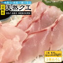 【ふるさと納税】天然クエ（11キロ台・3枚おろし） 《壱岐市》【壱岐島　玄海屋】[JBS064] クエ 魚 刺身 しゃぶしゃぶ 810000 810000円 81万円 のし プレゼント ギフト