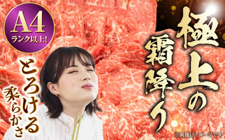 熊本県産 A5等級 黒毛和牛 和王 柔らか赤身焼肉 約300g×4P 計約1.2kg タレ2本付き【帝神志方ミート 株式会社】[AYCH082]