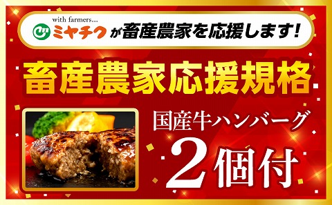 【期間・数量限定】畜産農家応援！宮崎県産黒毛和牛ロースステーキ250g×2・国産牛ハンバーグ100g×2個_M132-091-B2