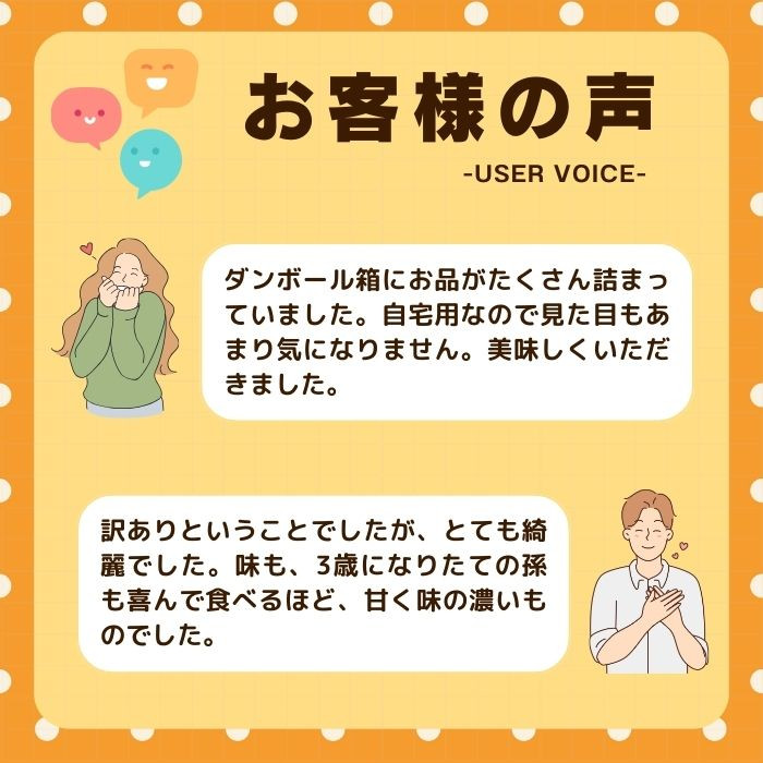 【先行予約】訳あり せとか 3kg 柑橘の大トロ かんきつ みかん 柑橘 みかん 蜜柑 完熟みかん おやつ 家庭用みかん 箱入りみかん ご家庭用みかん 果物 くだもの 果実 愛媛県 愛南町 みかん職人