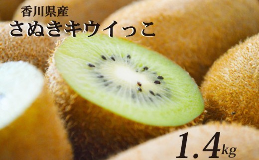 【11月上旬から12月下旬の間で順次発送】 一口サイズ！ さぬきキウイっこ 約1.4kg 香川県産 キウイっこ キウイ キウイフルーツ 果物 ふるさと納税キウイ 香川県 丸亀市