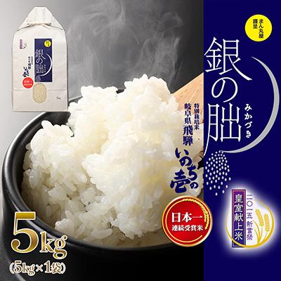 ふるさと納税 下呂市 先行受付【2025年産米】5kg×1 皇室献上米「銀の朏」令和7年産【13-2】