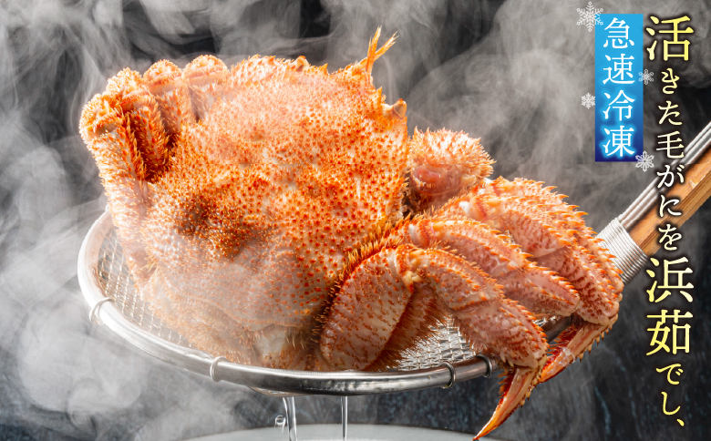 【北海道根室産】毛がに600g前後×1尾 B-21006