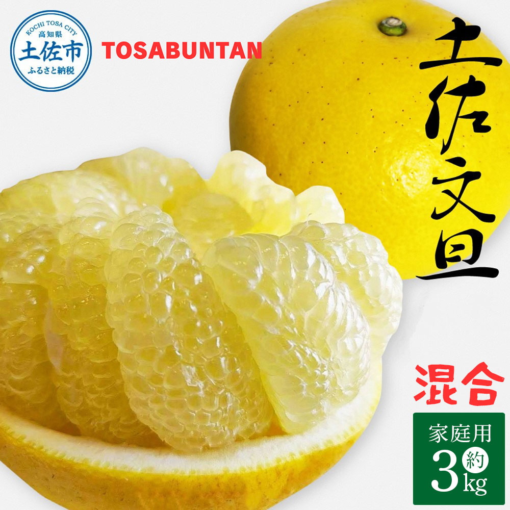 ＜2026年1月下旬より順次発送＞土佐文旦 家庭用 3kg 5～8玉入り L～3Lサイズ混合 先行予約 文旦 ぶんたん ブンタン 柑橘 フルーツ デザート 果物 ご当地 人気 名産 お取り寄せ 土佐 高知 土佐市