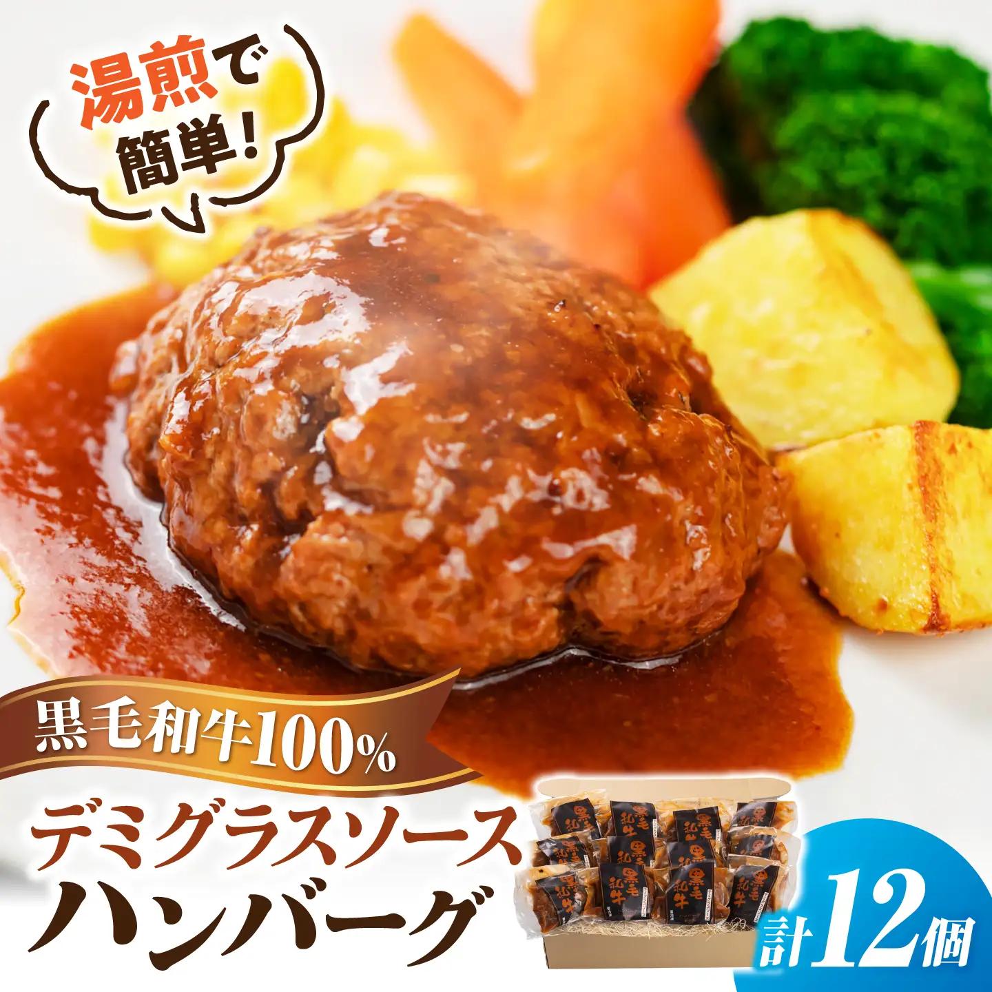 黒毛和牛100％デミグラスソースハンバーグ 計12個 島根県松江市/株式会社MJビーフ[ALIO006]