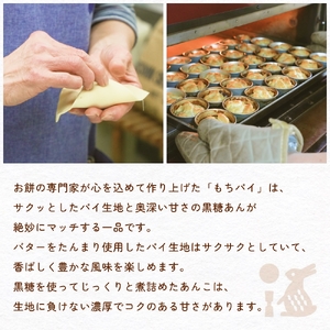 もちぱい　4個入　富山県 氷見市 餅 パイ お菓子 おやつ