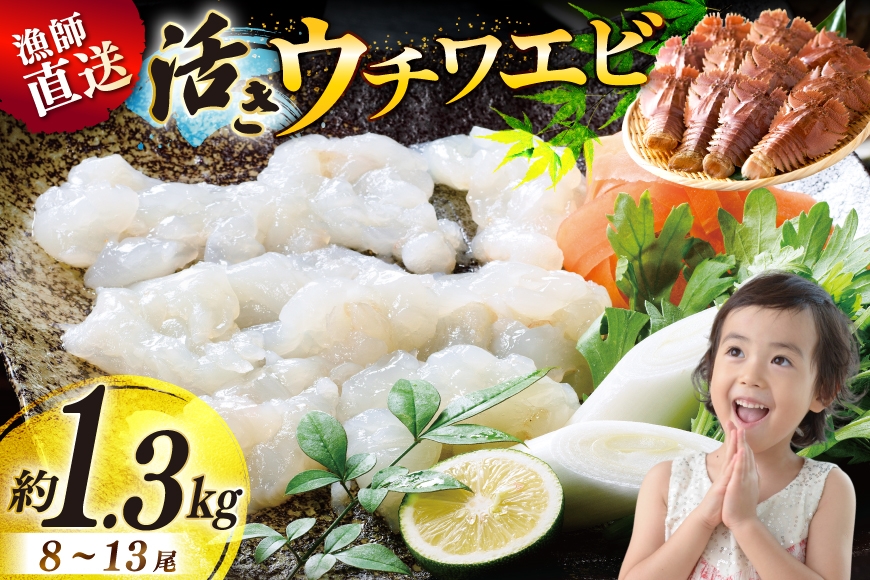 
                  エビ 活き うちわえび 8～13尾 約1.3kg [ひばり 長崎県 平戸市 hr42bgy420032]  海老 海鮮 ウチワエビ 魚介 えび 海産物 鍋 刺身 刺し身 新鮮 国産 お取り寄せ
                