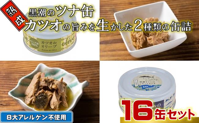 ［1117］熟成 黒潮のツナ缶 カツオの旨みを生かした2種類の缶詰 16缶セット