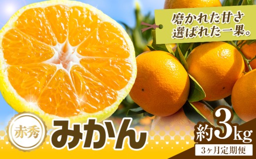 【3か月定期便】 先行予約 赤秀 みかん 旬 柑橘 蜜柑 鶴田農園 約3㎏×3回 《11月上旬-1月下旬頃出荷》極早生 早生 中生 晩生 フルーツ 果物 秋 旬 熊本県 荒尾市産 贈答 ギフト オレンジ 人気 おすすめ