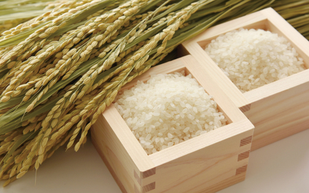 ［先行受付］和歌山県産キヌヒカリ 5kg（2024年産）［SL27］【sml101B】