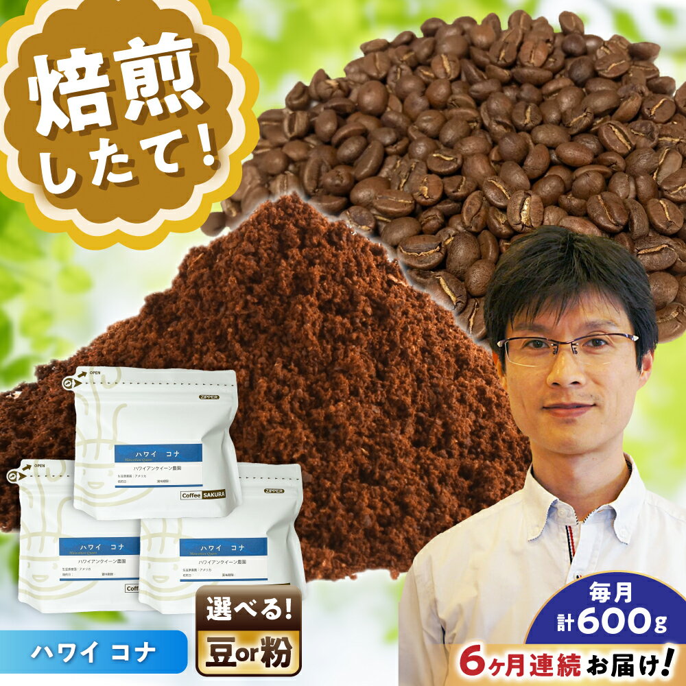 【ふるさと納税】【全6回定期便】【選べる豆 or 粉】 ハワイ・コナ 200g×3個 / 珈琲 コーヒー / 瀬戸市 / Coffee　SAKURA[BBAB072]
