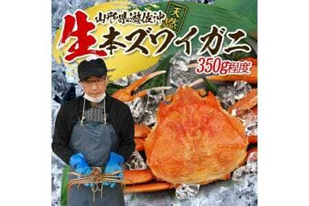 生・本ズワイガニ 1匹 350g程度 遊佐沖 10月中旬～12月下旬頃お届け 冷蔵便 ※着日指定・離島（沖縄県を含む）発送不可 1人前 東北 山形県 庄内地方 日本海 カニ 蟹 かに 海産物 シーフード 海鮮 新鮮 鮮魚 まるごと 生食 刺身 ボイル 期間限定 [852]