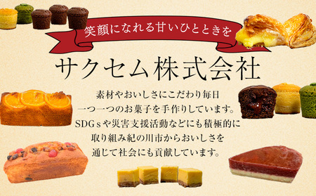 NYチーズケーキ チョコ 16個入(30日以内に出荷予定)サクセム株式会社