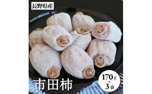 長野県産 南信州に伝わる伝統の味 市田柿 170g×3袋 ＜2027年1月中旬～2月下旬発送＞ | 山下屋荘介 果物 くだもの フルーツ 柿 かき 市田柿 干し柿 長野県 信州 南信州 飯田市
