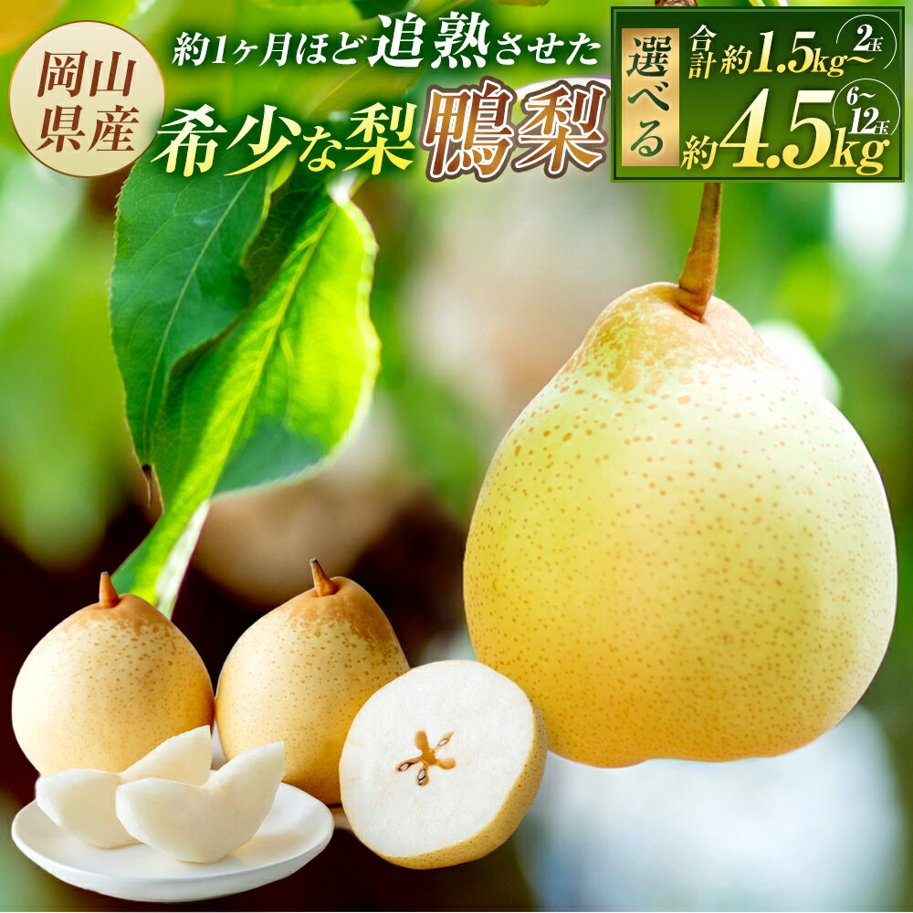 【ふるさと納税】＜選べる内容量＞ 鴨梨（ヤーリー） 計約1.5kg～計約4.5kg 2玉～12玉 贈答箱 / 化粧箱 梨 ナシ なし フルーツ くだもの 果物 果実 デザート 石原果樹園 秋の味覚 酸味 ギフト 贈答用 岡山県産 国産【2026年11月下旬～12月下旬迄順次発送予定】