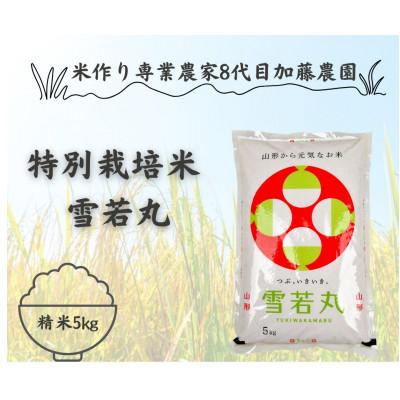 ふるさと納税 酒田市 【令和8年産米】農家直送　特別栽培米雪若丸5kg　精米