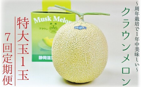 クラウンメロン マスクメロン 白等級 特大玉 青肉 クラウンメロン【1玉】【7ヶ月定期便】