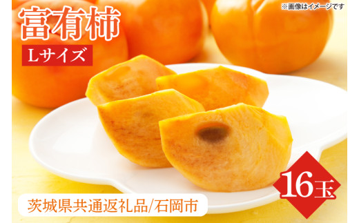 ★数量限定★富有柿 L 16玉【茨城県共通返礼品/石岡市】｜柿 かき カキ フルーツ 果物 くだもの 富有柿 ジューシー 数量限定 行方市 石岡市 茨城県(HL-4)