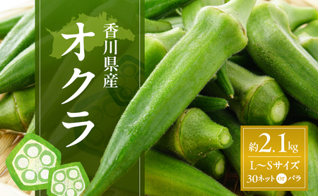 オクラ 野菜 オクラ【約2.1kg L〜Sサイズ】