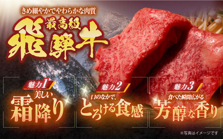 飛騨牛サーロインステーキ(240g×2枚)【配送不可地域：離島・北海道・沖縄県・東北・中国・四国・九州】【1049545】