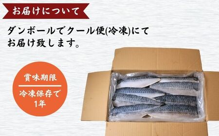 訳あり 塩鯖フィレ 3.5kg  塩鯖 塩さば 塩サバ 塩さばフィレ 塩サバフィレ 切り身 切身 冷凍 長期保存 お取り寄せ グルメ 大容量 ギフト 贈物 千葉県 銚子市 荒野商店 訳あり 冷凍ｻﾊﾞ