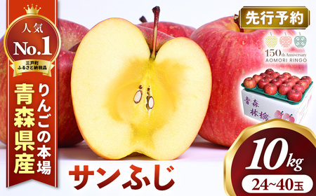 大容量 青森県産りんご 1月中旬～ サンふじ 10kg りんご