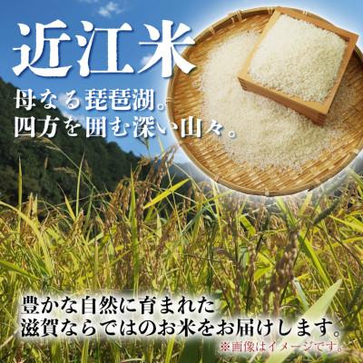 ふるさと納税 彦根市 【毎月定期便】きぬひかり 10kg 【滋賀でとれたお米、近江米!】全3回 |  | 01