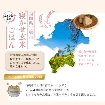 ふるさと納税 行橋市 【ふるさと玄米】寝かせ玄米ごはんパック 福岡県行橋市産【160g×24食セット】(行橋市) |  | 01