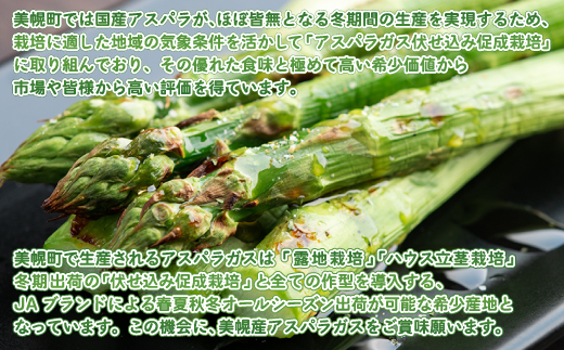 希少!冬期生産伏せ込み促成栽培アスパラ「冬姫」M～L　約1kg【配送不可地域：離島】（2025年11月中旬より順次発送） BHRG070