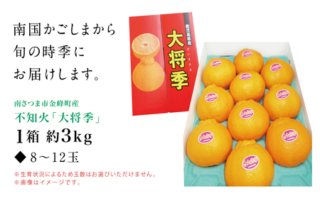 【南さつま市金峰町産】 ブランド不知火「大将季」 約3kg入り化粧箱 （8玉～12玉）南さつま市 金峰町産 国産 果物 フルーツ 旬 柑橘 不知火 しらぬい くだもの ハウス栽培 常温 鹿児島県