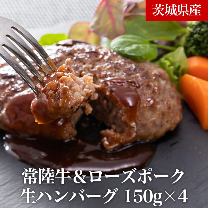 【ふるさと納税】茨城の誇る常陸牛＆ローズポークハンバーグ＜冷凍生ハンバーグ・タレセット＞ ハンバーグ 茨城県 牛（CT-1）