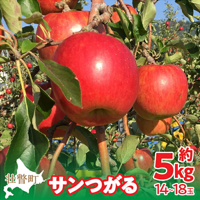 【ふるさと納税】【先行予約】北海道壮瞥町産りんご「サンつがる」約5kg(14～18玉)《2026年9月下旬よりお届け》 【りんご リンゴ 林檎 つがる サンつがる 蜜入り 5kg ジュース 果物 くだもの フルーツ 送料無料 】SBTF010