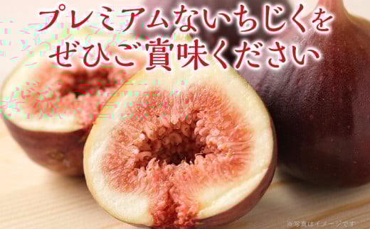 博多とよみつひめ 1,000g（４パック）【2025年8月～10月に発送予定】 CD23