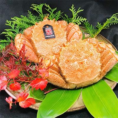 ふるさと納税 森町 カネキチ毛ガニ2尾入り(1尾330〜370g)