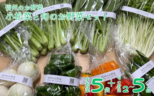 
                  YT10　信州のお野菜　小松菜と旬のお野菜セット　学校給食でも使用 // 有機野菜 有機食材 オーガニック オーガニック野菜 無農薬 化学肥料不使用
                