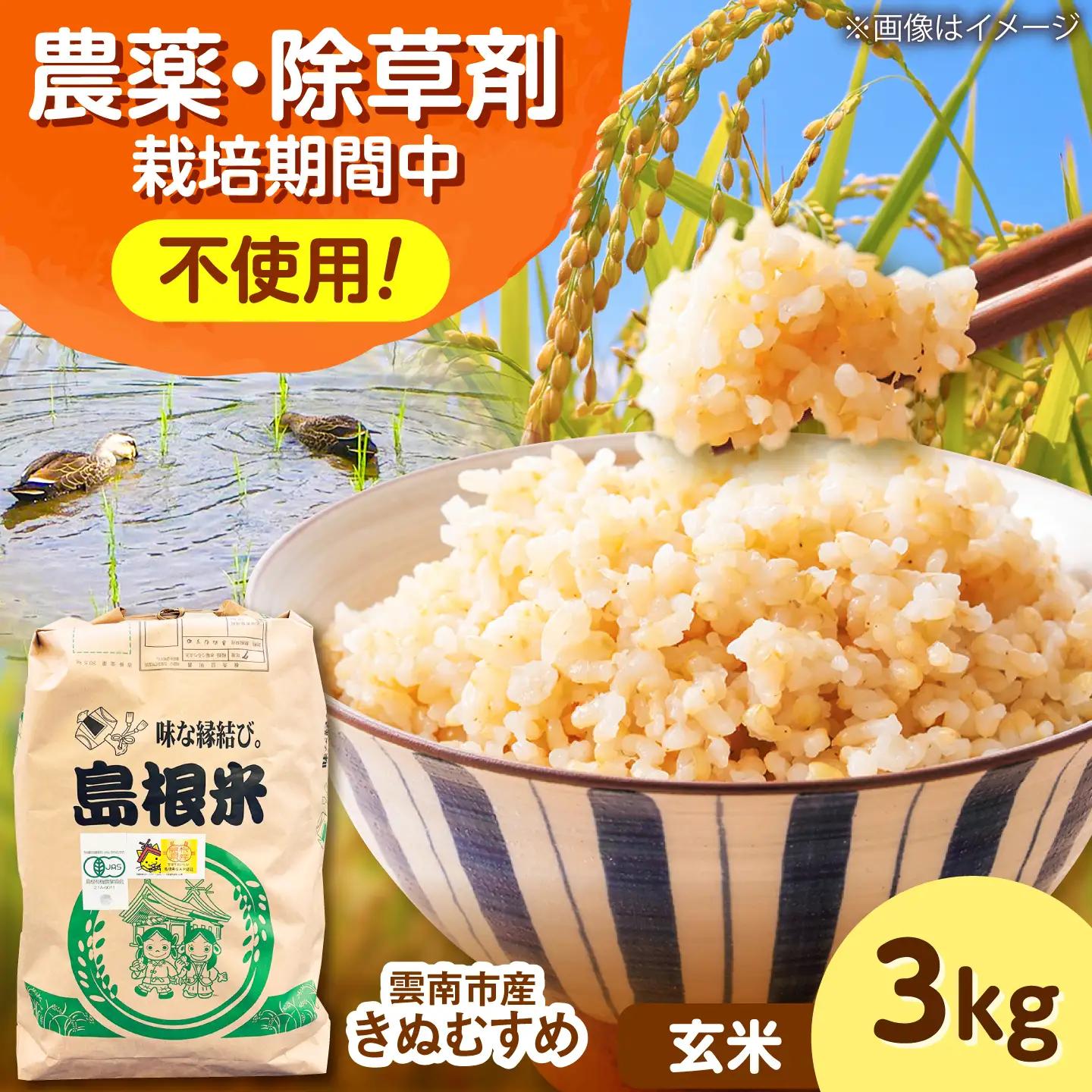 【有機JAS認証】有機栽培米きぬむすめ 3kg 令和7年産 玄米 島根県雲南市/佐藤ファーム[AIEO005]