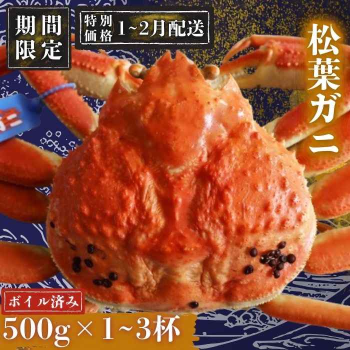 【ふるさと納税】【期間限定配送！1～2月発送希望の方へ！】松葉ガニ〈ボイル〉松葉ガニ マツバガニ タグ付き＜11月中旬～2月中旬頃発送予定＞＜選べる容量＞500g～1500g 1.0kg 1.5kg 松葉カニ 蟹 かに 国産 かに カニ 松葉蟹 お中元 人気 贈与 ギフト